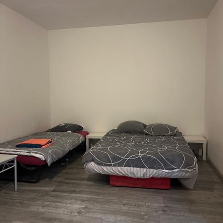 Logement Type Studio 1 Piece Proche Zenith Estrasburgo Exterior foto